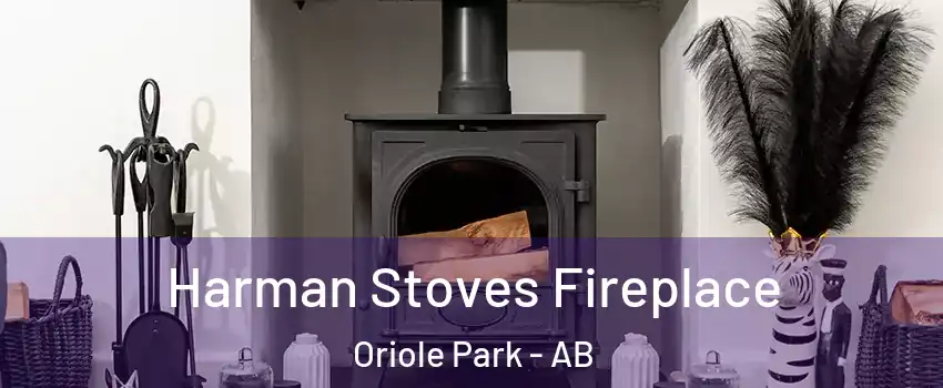 Harman Stoves Fireplace Oriole Park - AB