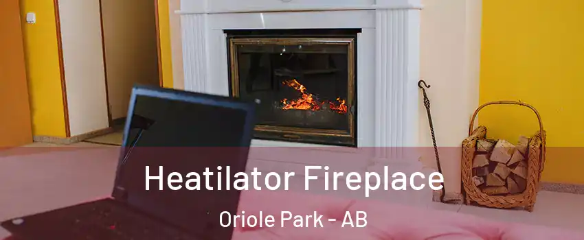  Heatilator Fireplace Oriole Park - AB