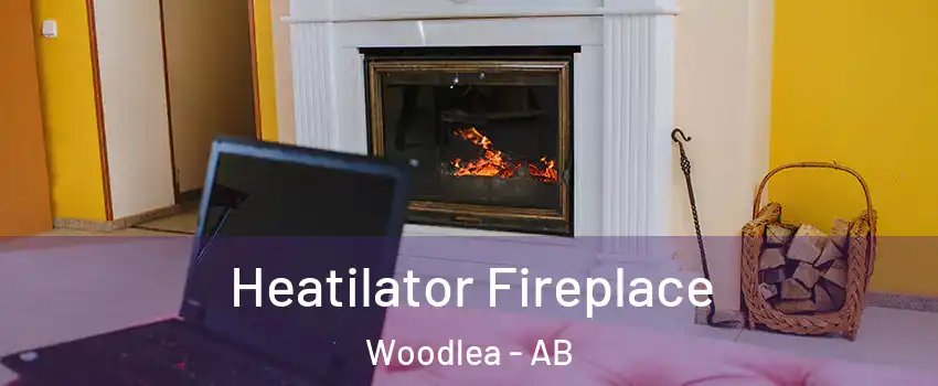  Heatilator Fireplace Woodlea - AB