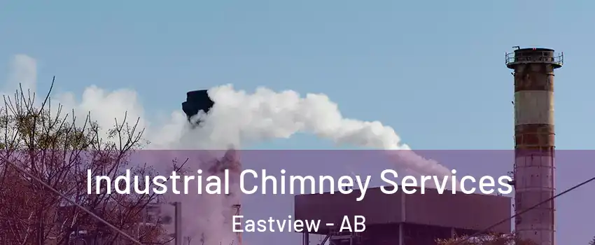  Industrial Chimney Services Eastview - AB