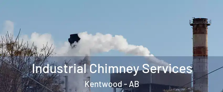 Industrial Chimney Services Kentwood - AB