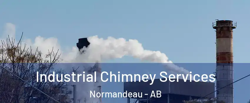 Industrial Chimney Services Normandeau - AB
