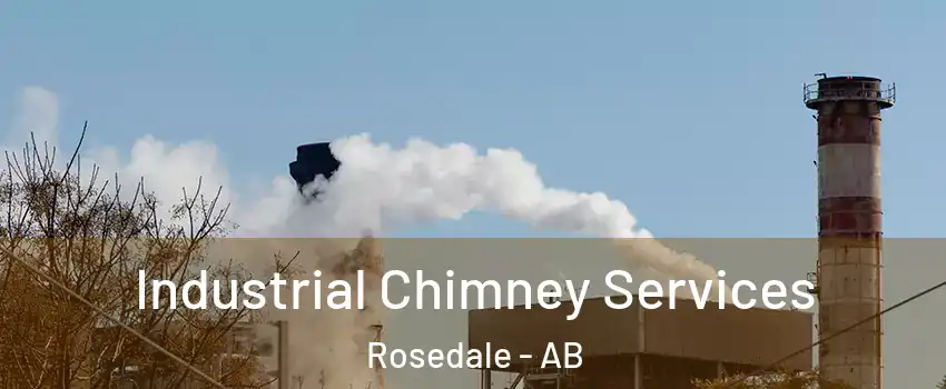Industrial Chimney Services Rosedale - AB