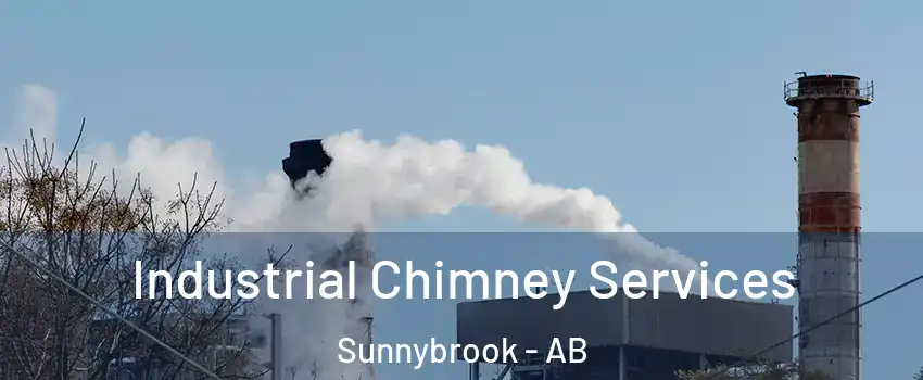 Industrial Chimney Services Sunnybrook - AB