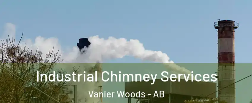 Industrial Chimney Services Vanier Woods - AB