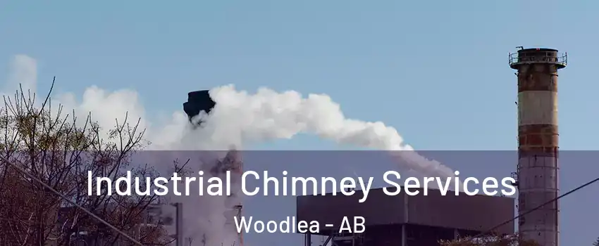 Industrial Chimney Services Woodlea - AB
