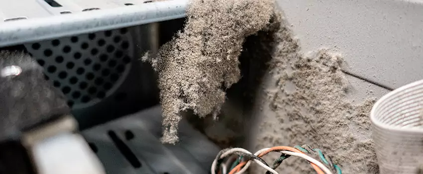 Clogged Dryer Vent Lint Cleaning in Red Deer, Alberta
