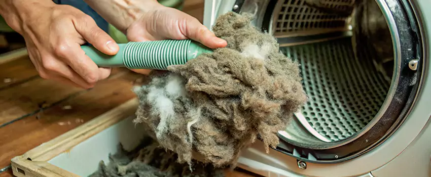 Best Dryer Lint Removal Company in Red Deer, Alberta