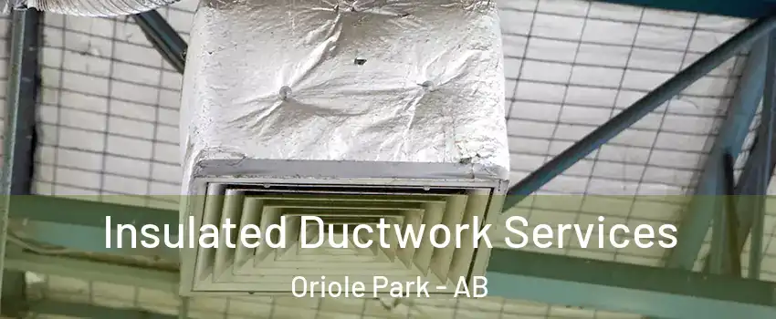 Insulated Ductwork Services Oriole Park - AB