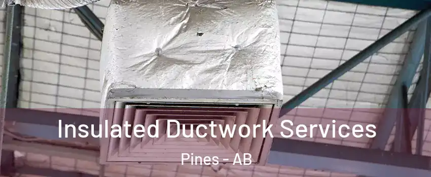 Insulated Ductwork Services Pines - AB