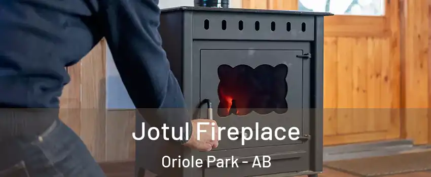 Jotul Fireplace Oriole Park - AB