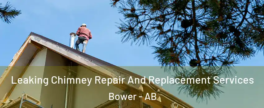 Leaking Chimney Repair And Replacement Services Bower - AB