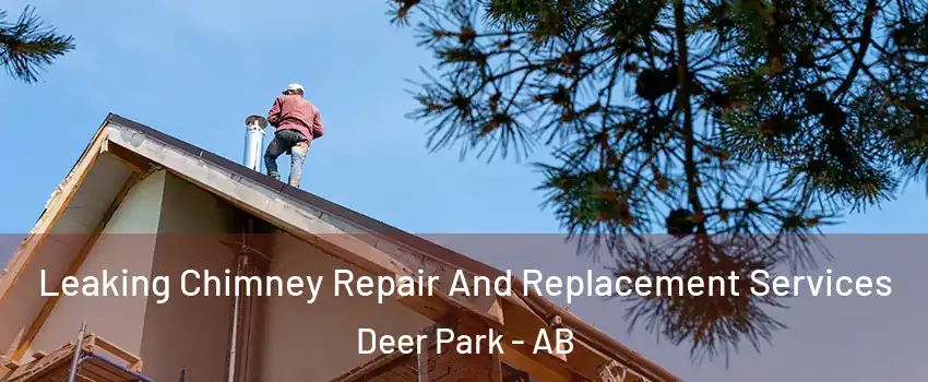 Leaking Chimney Repair And Replacement Services Deer Park - AB