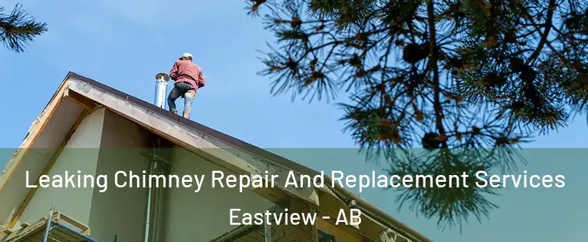  Leaking Chimney Repair And Replacement Services Eastview - AB