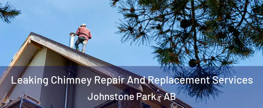 Leaking Chimney Repair And Replacement Services Johnstone Park - AB