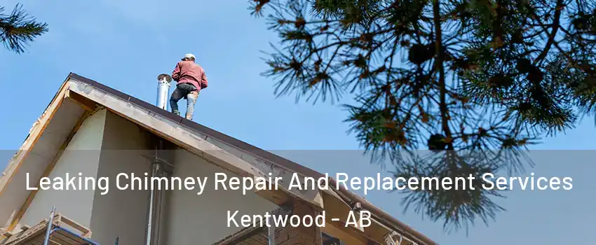  Leaking Chimney Repair And Replacement Services Kentwood - AB
