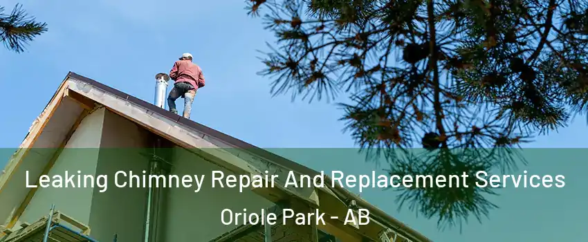Leaking Chimney Repair And Replacement Services Oriole Park - AB