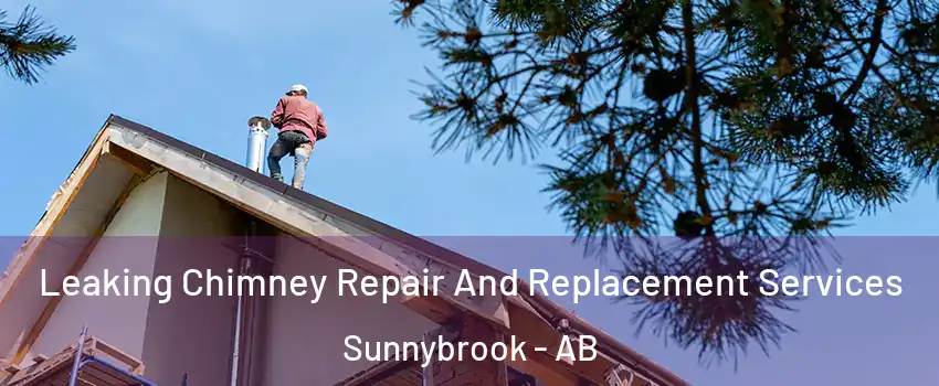 Leaking Chimney Repair And Replacement Services Sunnybrook - AB