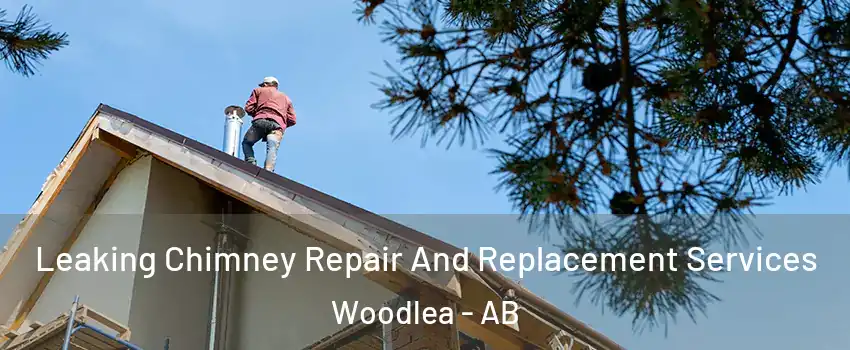  Leaking Chimney Repair And Replacement Services Woodlea - AB