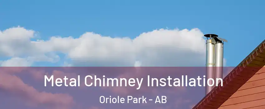 Metal Chimney Installation Oriole Park - AB