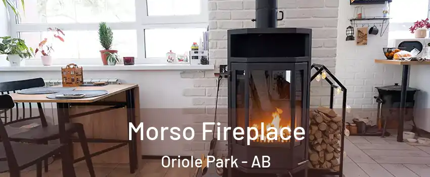  Morso Fireplace Oriole Park - AB