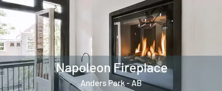 Napoleon Fireplace Anders Park - AB