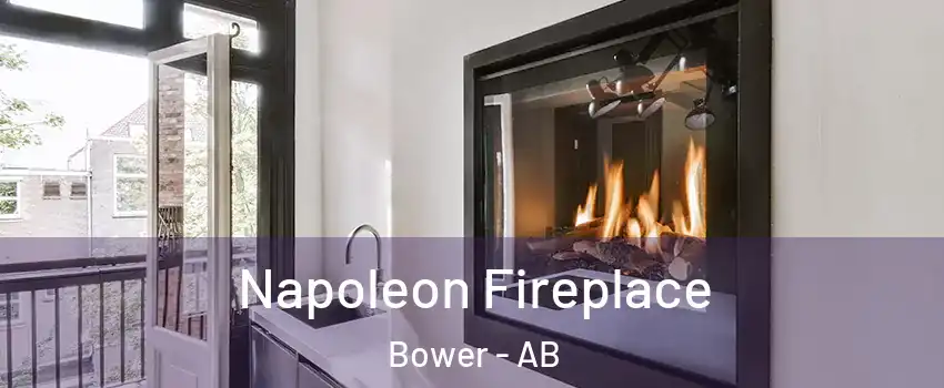 Napoleon Fireplace Bower - AB