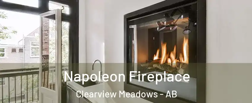 Napoleon Fireplace Clearview Meadows - AB