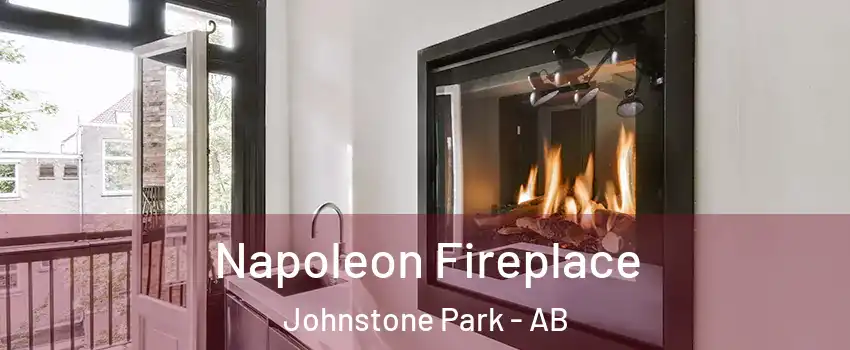  Napoleon Fireplace Johnstone Park - AB