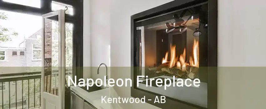 Napoleon Fireplace Kentwood - AB