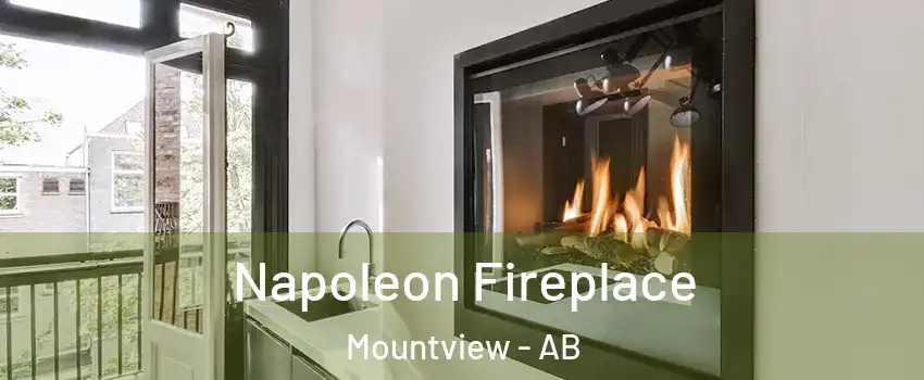 Napoleon Fireplace Mountview - AB