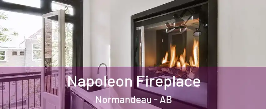 Napoleon Fireplace Normandeau - AB