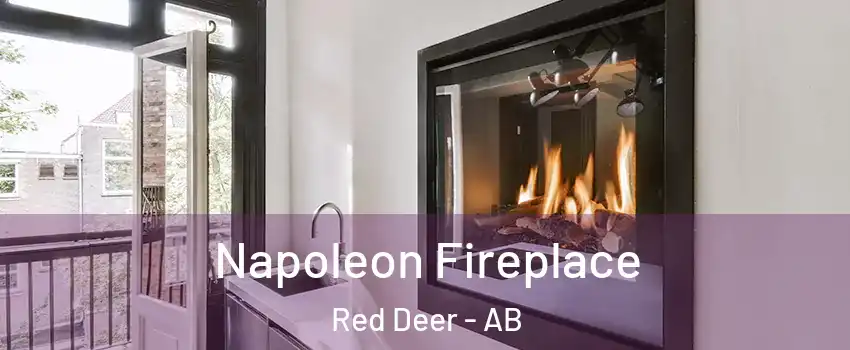 Napoleon Fireplace Red Deer - AB