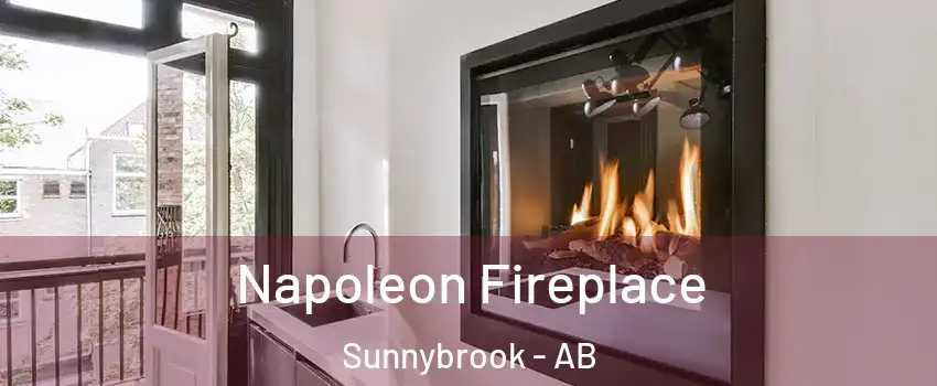 Napoleon Fireplace Sunnybrook - AB