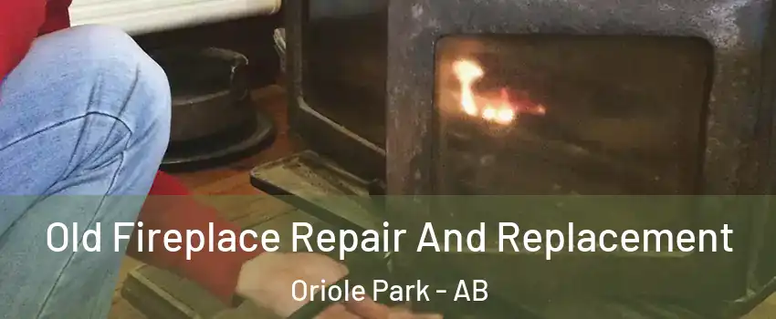  Old Fireplace Repair And Replacement Oriole Park - AB