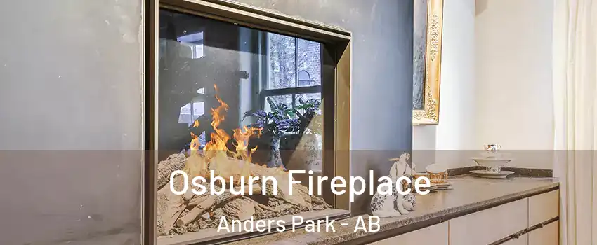 Osburn Fireplace Anders Park - AB