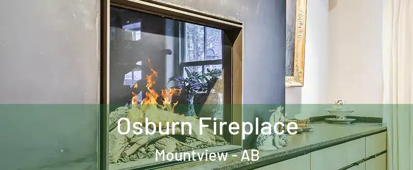 Osburn Fireplace Mountview - AB