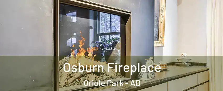 Osburn Fireplace Oriole Park - AB