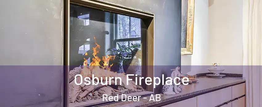 Osburn Fireplace Red Deer - AB