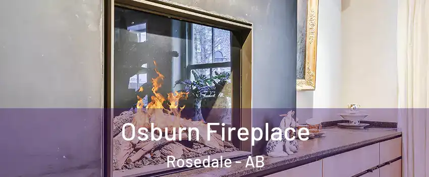 Osburn Fireplace Rosedale - AB