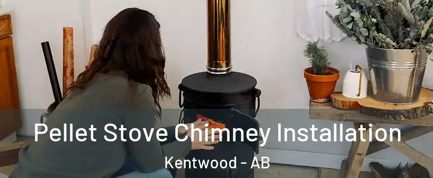 Pellet Stove Chimney Installation Kentwood - AB