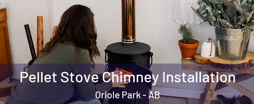 Pellet Stove Chimney Installation Oriole Park - AB