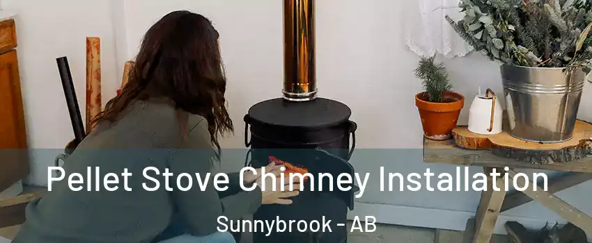  Pellet Stove Chimney Installation Sunnybrook - AB