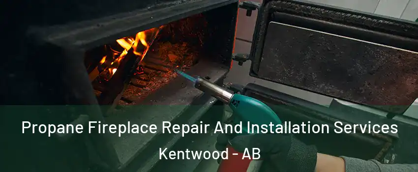 Propane Fireplace Repair And Installation Services Kentwood - AB