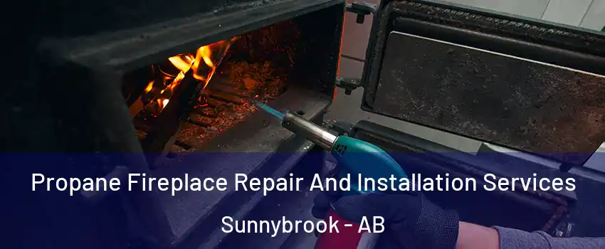 Propane Fireplace Repair And Installation Services Sunnybrook - AB
