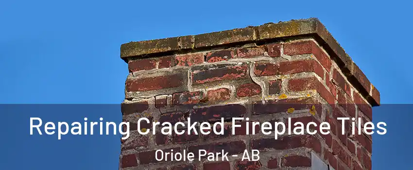 Repairing Cracked Fireplace Tiles Oriole Park - AB
