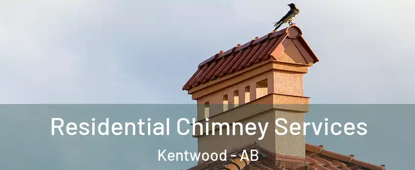 Residential Chimney Services Kentwood - AB