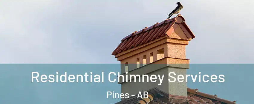  Residential Chimney Services Pines - AB