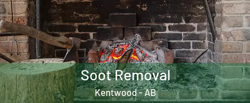 Soot Removal Kentwood - AB
