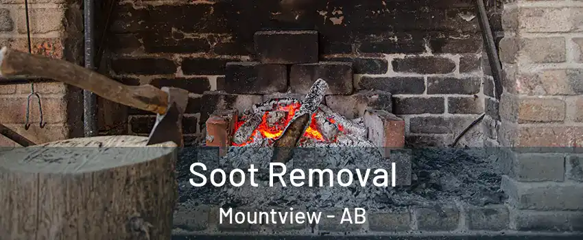 Soot Removal Mountview - AB
